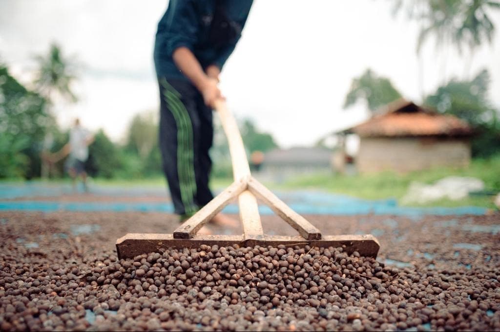 Coffee Documentation