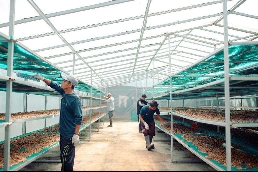 Coffee Documentation