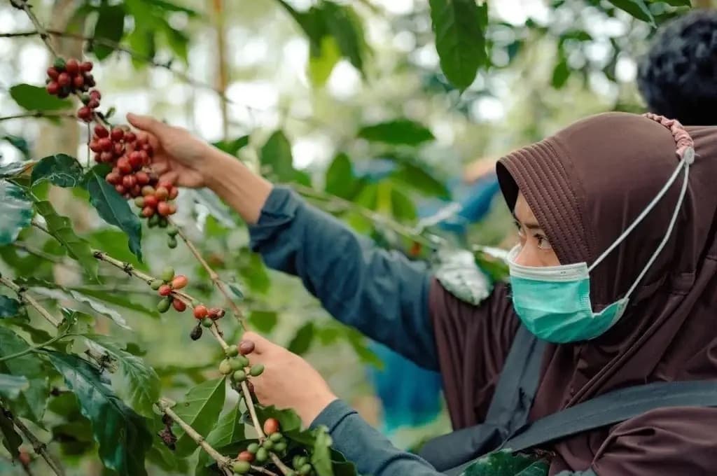 Coffee Documentation