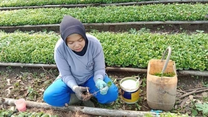 Coffee Documentation